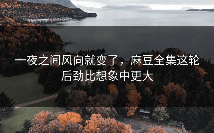 一夜之间风向就变了，麻豆全集这轮后劲比想象中更大